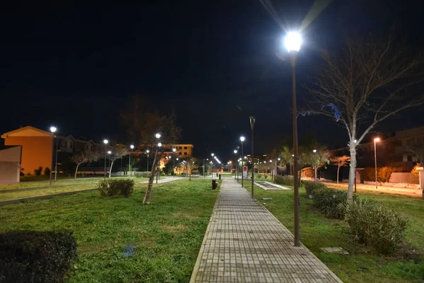Şehirde gece parkı yolu ile lambalar ile aydınlatılmış