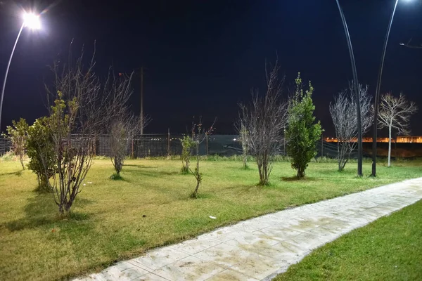 Şehirde gece parkı yolu ile lambalar ile aydınlatılmış