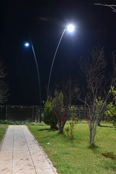 Şehirde gece parkı yolu ile lambalar ile aydınlatılmış