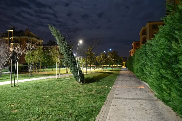 Şehirde gece parkı yolu ile lambalar ile aydınlatılmış