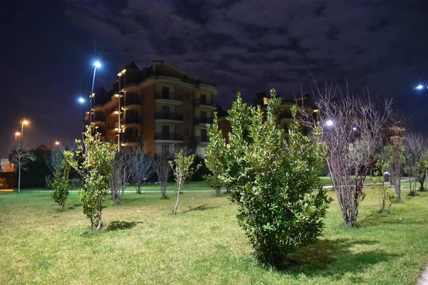 Şehirde gece parkı yolu ile lambalar ile aydınlatılmış