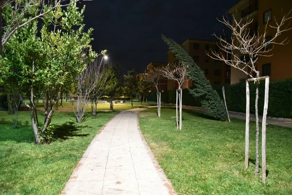 Şehirde gece parkı yolu ile lambalar ile aydınlatılmış