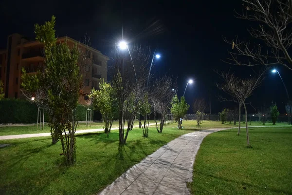 Şehirde Gece Parkı Yolu Ile Lambalar Ile Aydınlatılmış — Stok fotoğraf
