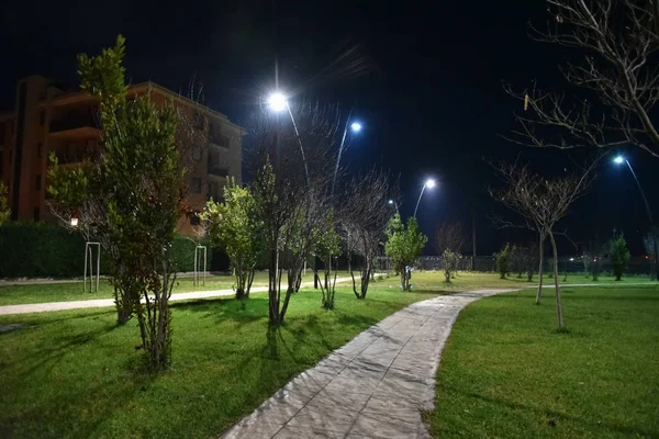 Şehirde gece parkı yolu ile lambalar ile aydınlatılmış