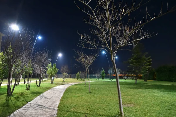 Parque Noturno Cidade Iluminado Por Lâmpadas Com Caminho — Fotografia de Stock
