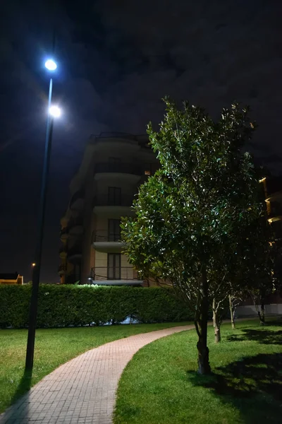 Şehirde gece parkı yolu ile lambalar ile aydınlatılmış