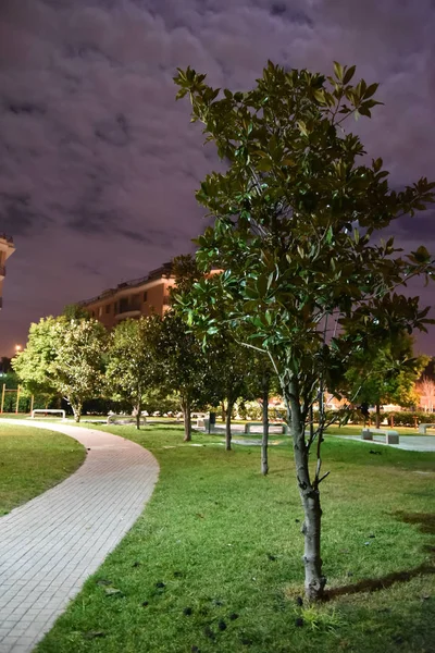 Şehirde gece parkı yolu ile lambalar ile aydınlatılmış