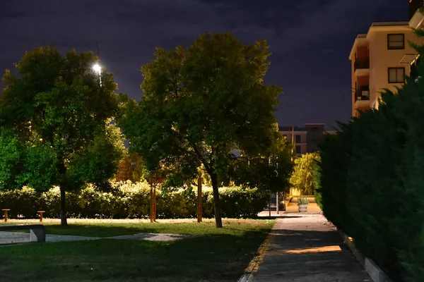 Parque Noturno Cidade Iluminado Por Lâmpadas Com Caminho — Fotografia de Stock