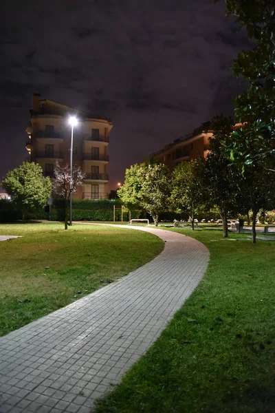 Şehirde gece parkı yolu ile lambalar ile aydınlatılmış