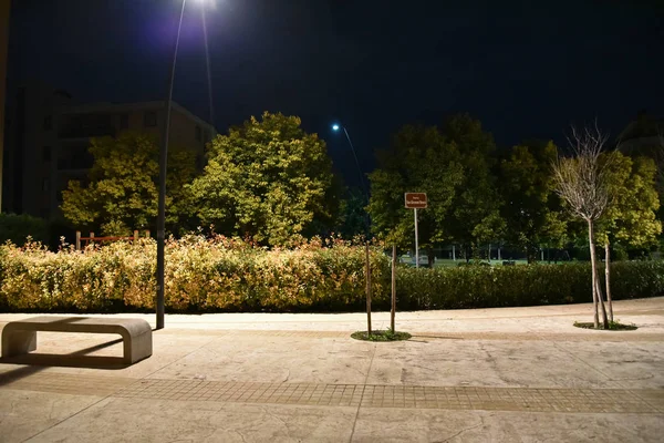 Ночной Парк Городе Освещается Лампами Дорожкой — стоковое фото