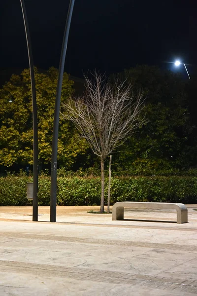 Parque Noturno Cidade Iluminado Por Lâmpadas Com Caminho — Fotografia de Stock