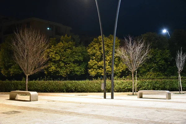 Şehirde gece parkı yolu ile lambalar ile aydınlatılmış