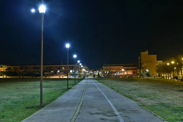 Şehirde parkta Gece bisiklet yolu