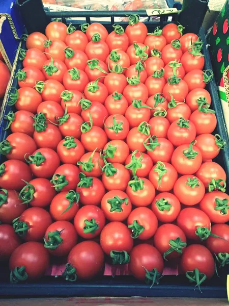 Tomaten Champignons Gemüse Paprika — Stockfoto