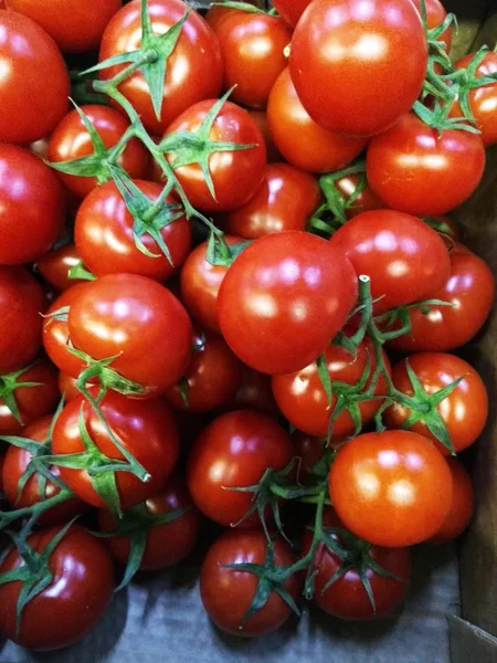 Tomater Champinjoner Gröna Peppar — Stockfoto