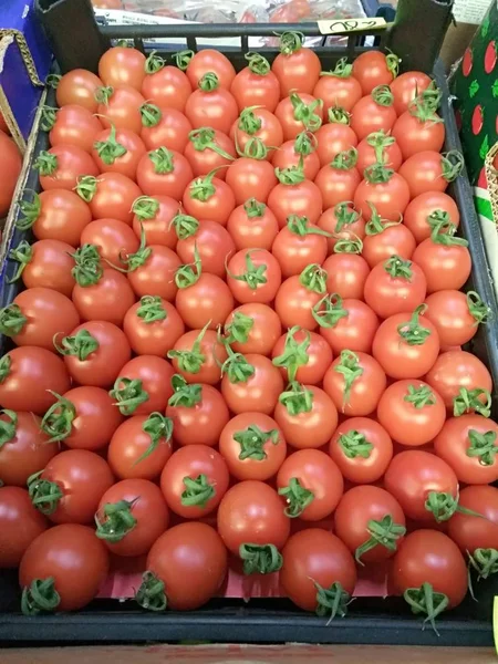 Tomaten Champignons Gemüse Paprika — Stockfoto