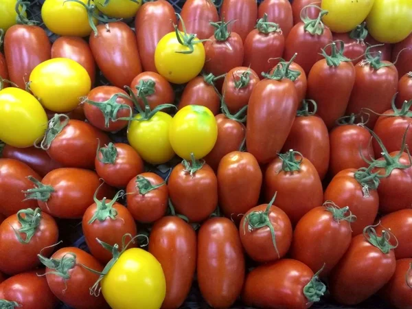 Tomater Champinjoner Gröna Peppar — Stockfoto