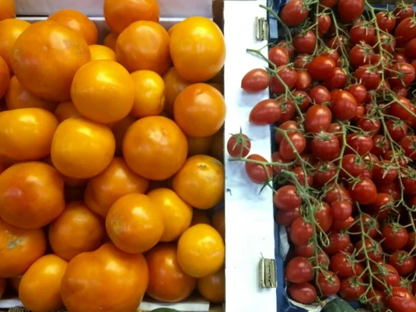 Tomates Champiñones Verduras Pimienta — Foto de Stock