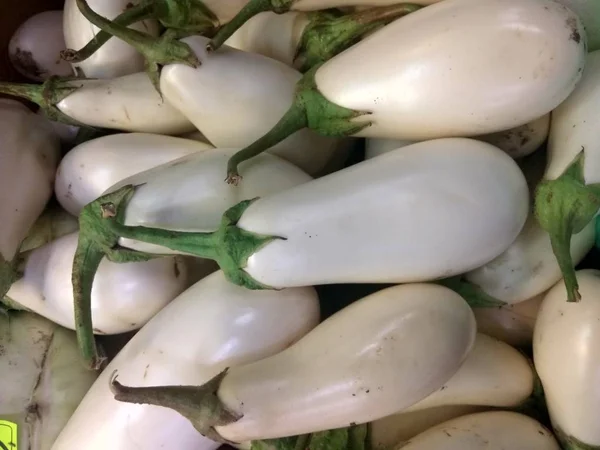 Abarrotes Verduras Ensaladas Verano — Foto de Stock