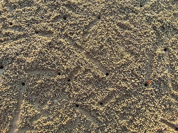 Bir Kota Kinabalu Sabah Malezya Içinde Güzel Beach — Stok fotoğraf