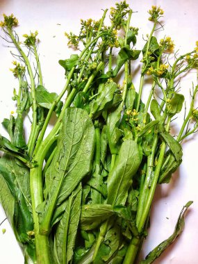 Taze yeşil hardal beyaz arka planda (Brassica juncea). Yakın çekim. Seçilen odak.