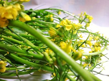 Taze yeşil hardal beyaz arka planda (Brassica juncea). Yakın çekim. Seçilen odak.