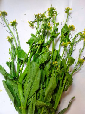 Taze yeşil hardal beyaz arka planda (Brassica juncea). Yakın çekim. Seçilen odak.