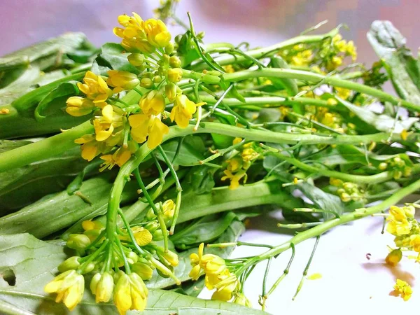 Taze yeşil hardal beyaz arka planda (Brassica juncea). Yakın çekim. Seçilen odak.