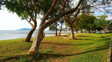 Tanjung Lipat ve bu parkta bir halk parkında insanlar Kota Kinabalu en popüler Park biridir ve Likas bulunan.