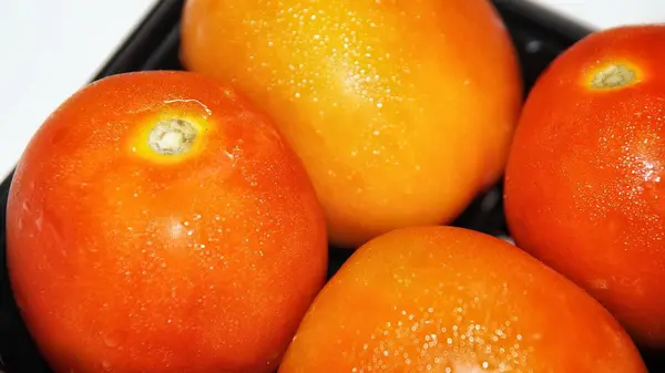 Légumes Tomates Fraîches Rouges Feuilles Persil Isolées Sur Fond Blanc — Photo