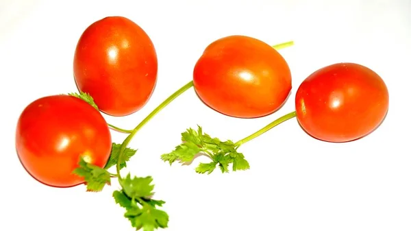 배경에 신선한 토마토 야채와 파슬리 — 스톡 사진