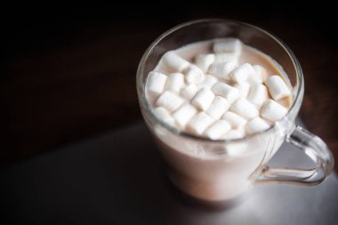 Hatmi kakao cam fincan gıda