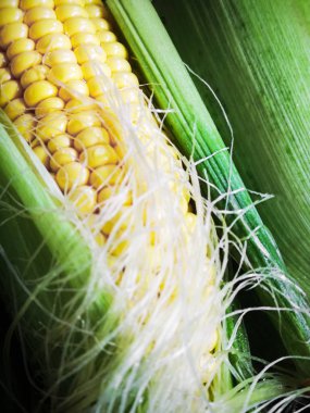 mısır gevreği arka planlar doğa gıda sağlıklı beslenme