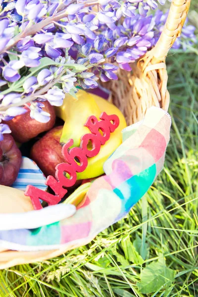 love fruits nature day  flowers summer basket