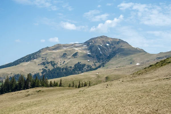 Hochland — kostenloses Stockfoto