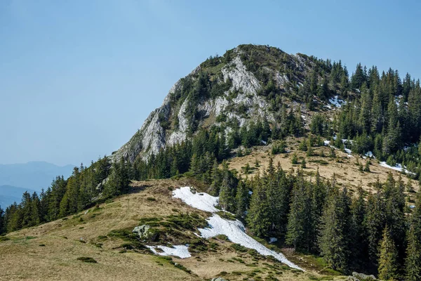 Im Freien — Stockfoto