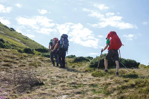 Hikers — Stock Photo