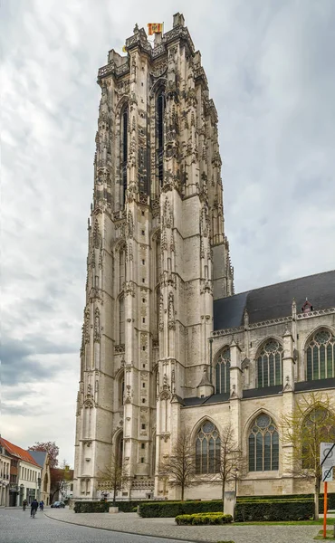 Rumbold Cathedral Catedral Metropolitana Belga Mechelen Dedicada Santa Rumbold — Fotografia de Stock