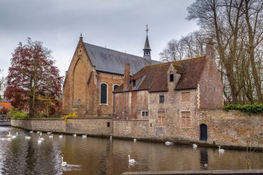 Kuğular gölde aşk Bruges, Belçika