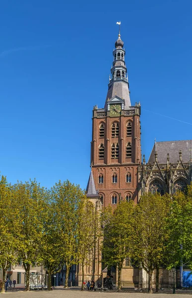 Římsko Katolické Katedrále Kostel John Hertogenbosch Výška Gotické Architektury Nizozemsku — Stock fotografie