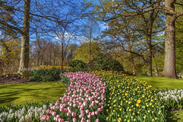 Landschap Met Flowerbed Keukenhof Tuin Nederlands — Stockfoto