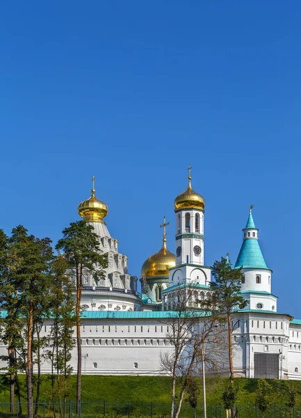 Yeni Kudüs Manastırı görünümünü arkasından duvar, Rusya Federasyonu