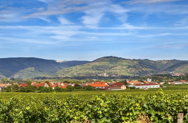 Paisagem Perto Abadia Gottweig Com Vinha Áustria — Fotografia de Stock