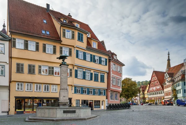 Widok Placu Marktplatz Esslingen Neckar Niemcy — Zdjęcie stockowe