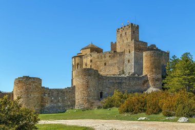 Loarre Şatosu, İspanya 'nın Aragon özerk bölgesinde bulunan bir Roma Kalesidir. İspanya 'nın en eski kalelerinden biridir.