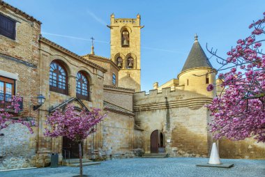 Navarre, Olite, İspanya kralları Sarayı