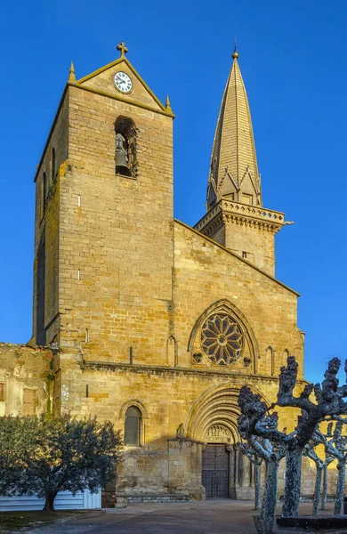 San Pedro Romansk Och Gotisk Stil Romersk Katolska Kyrkan Olite — Stockfoto