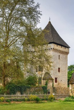 Saint-Leon-sur-Vezere 'deki tarihi kule, Dordogne, Fransa