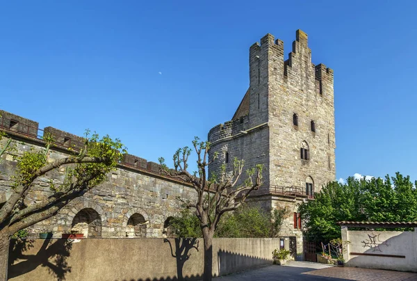 Cite Carcassonne Una Ciudadela Medieval Situada Ciudad Francesa Carcassonne Torre — Foto de Stock