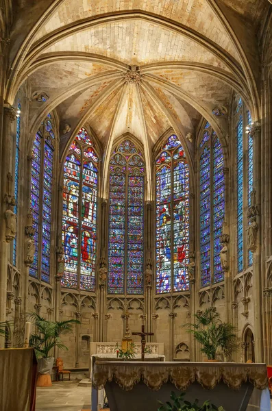 Basilika Saints Nazarius Celsus Roomalaiskatolinen Alaikäinen Basilika Sijaitsee Linnoitus Carcassonne — kuvapankkivalokuva